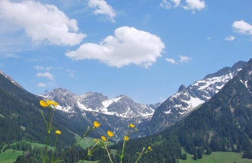 Mittelberg Apartment | 35 m² Apartment ∙ 1 bedroom ∙ 4 guests
