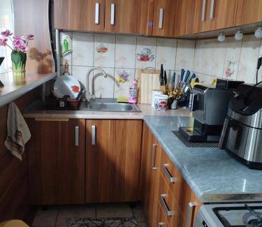 Dambovicioara Bed & Breakfast | 35 m² Bed and breakfast ∙ 4 guests