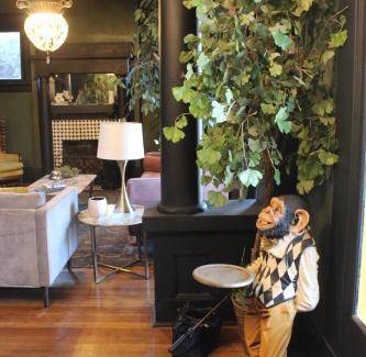 Downtown El Paso Apartment | 36 m² Apartment ∙ 1 bedroom ∙ 2 guests