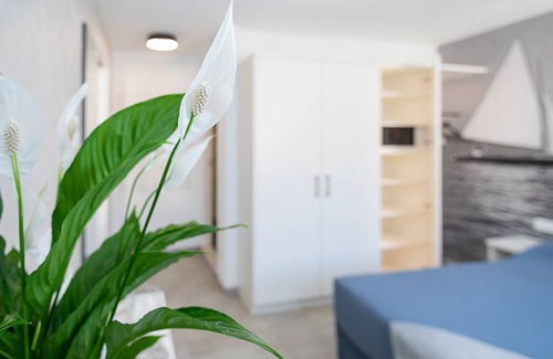Old Town Apartment | 37 m² Apartment ∙ 1 bedroom ∙ 4 guests