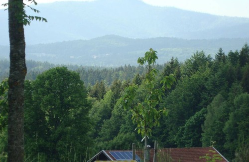 Neuschoenau Apartment | 38 m² Apartment ∙ 1 bedroom ∙ 2 guests