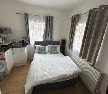 Downham House | 3rd Studio Flat With Private Toilet and Bathroom Setup For Family Enjoyment 134 Keedonwood Road Bromley
