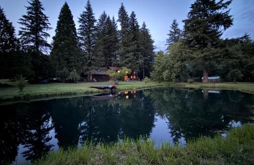 Amboy House | 4-Bedroom Chateau in Southern Washington- Luxurious Retreat with Pond & Creek