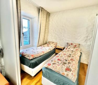 Horgen District Apartment | 4 mins walk Thalwil Station, Free Parking, Historical