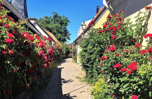 Gotlands Tofta House | 4 Person Holiday Home in Gotlands.tofta