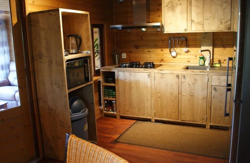 Reutum House | 4 person Woodhouse bungalow with jacuzzi and sauna