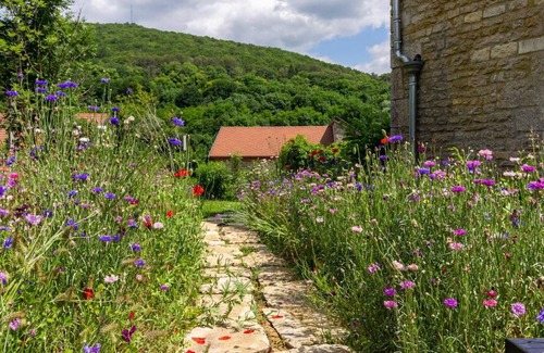 La Bussiere-sur-Ouche Bed & Breakfast | 40 m² Bed and breakfast ∙ 1 bedroom ∙ 3 guests