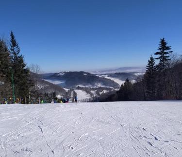 Kamienna Gora Apartment | 44 Śląska
