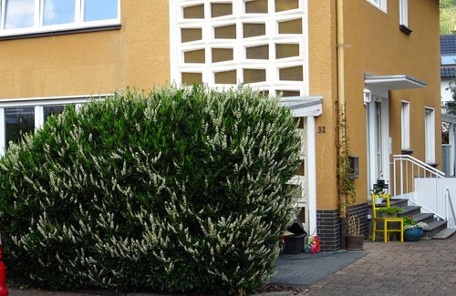 Ahrweiler Apartment | 45 m² Apartment ∙ 1 bedroom ∙ 2 guests