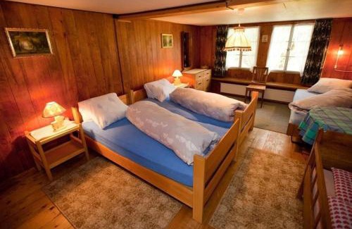 Hasliberg Apartment | 45 Zimmer Ferienwohnung Hofstatthaus
