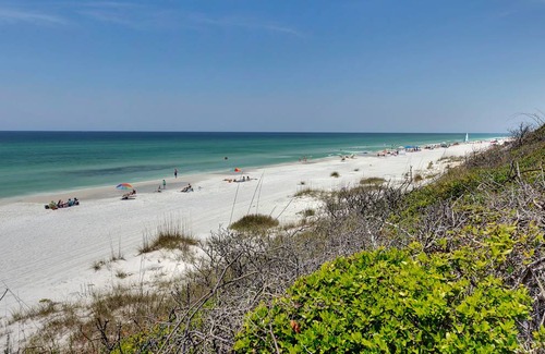 Seagrove Beach Apartment | 47 m² Apartment ∙ 1 bedroom ∙ 4 guests