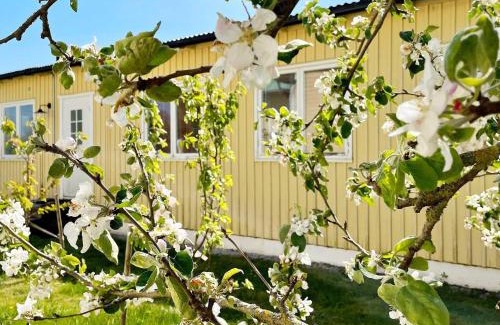 Romakloster House | 5 person holiday home in Romakloster-By Traum