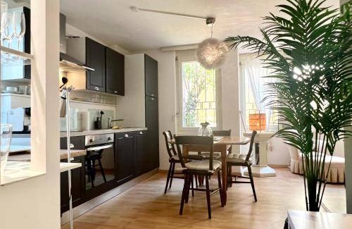 Nussbaumen Apartment | 50 m² Apartment ∙ 1 bedroom ∙ 3 guests