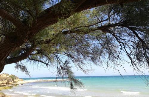 Lendinuso Apartment | 50 m² Apartment ∙ 2 bedrooms ∙ 4 guests