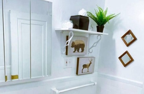 St. Louis Apartment | (53.1S) Forest Park, The Zoo, and much more