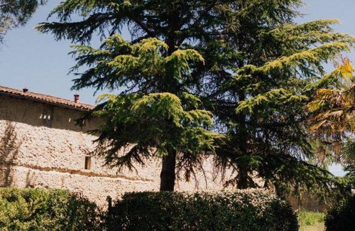 Lignan-de-Bordeaux House | 530 m² House ∙ 6 bedrooms ∙ 13 guests