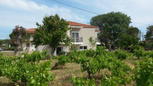 Laganas Apartment | 55 m² Apartment ∙ 2 bedrooms ∙ 5 guests