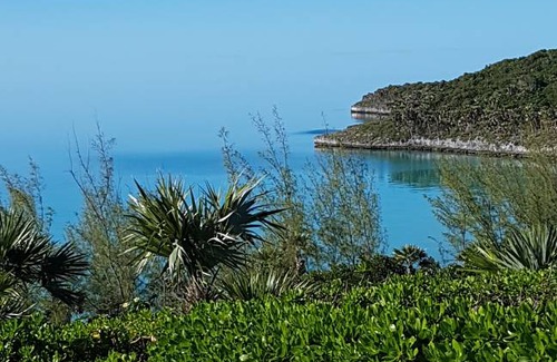 South Palmetto Point Cottage | 58 m² Cottage ∙ 1 bedroom ∙ 2 guests
