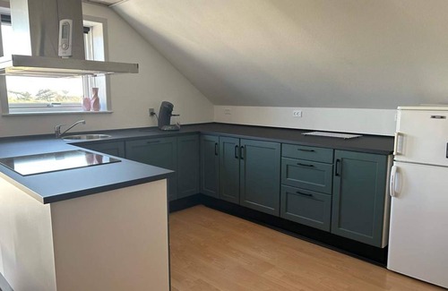 Sonderho House | 6 person holiday home in Ribe
