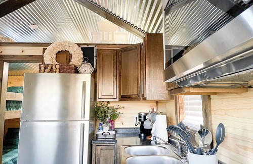 Hico Cabin | 6 Tiny Town Bunk House Tiny Home Animals Fire