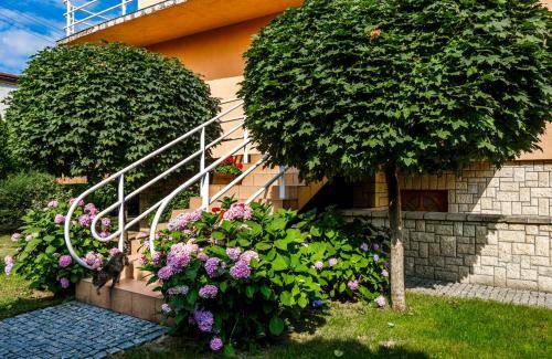 Nowy Sacz Apartment | 60 m² Apartment ∙ 5 guests