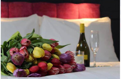 Mallow Hotel | 60 m² Hotel ∙ 2 bedrooms ∙ 4 guests