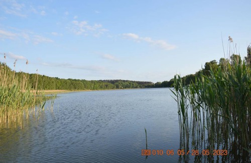 Feldberger Seenlandschaft Apartment | 62 m² Apartment ∙ 1 bedroom ∙ 4 guests