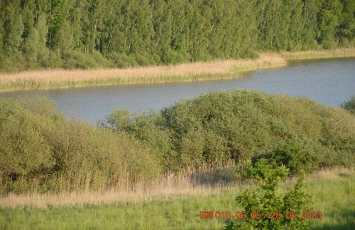 Feldberger Seenlandschaft Apartment | 62 m² Apartment ∙ 1 bedroom ∙ 4 guests