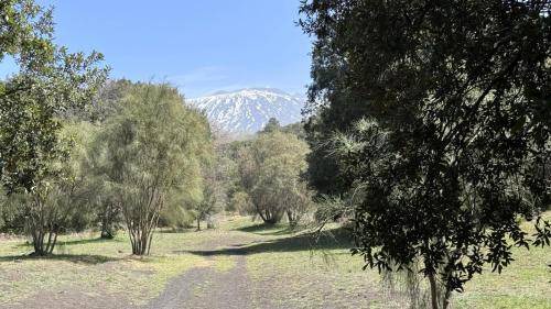 Bronte Ski Chalet | 65 m² Chalet ∙ 1 bedroom ∙ 6 guests