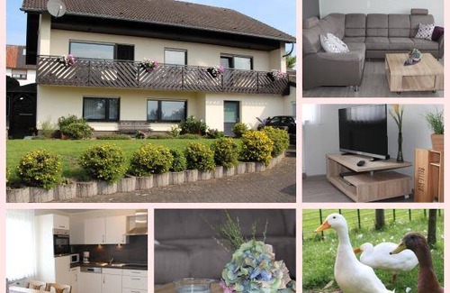 Bettenfeld Apartment | 68 m² Apartment ∙ 1 bedroom ∙ 2 guests