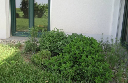 Windorf Apartment | 70 m² Apartment ∙ 1 bedroom ∙ 3 guests