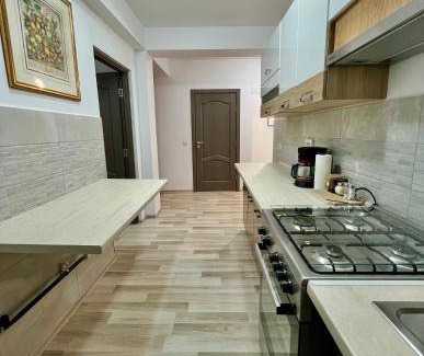 Vatra Dornei Apartment | 70 m² Apartment ∙ 2 bedrooms ∙ 8 guests