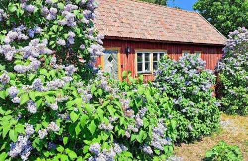 Vastergarn House | 8 person holiday home in GOTLANDS TOFTA