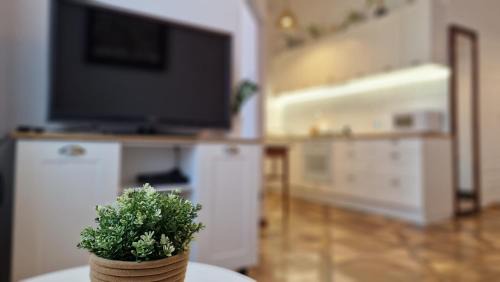 Przemysl Apartment | 8 Przemyśl