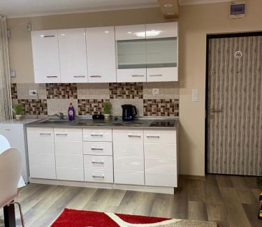 Cavnic Apartment | 8 RESIDENCE APARTAMENT