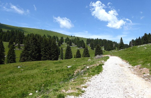 Lozzo di Cadore Apartment | 80 m² Apartment ∙ 2 bedrooms ∙ 5 guests