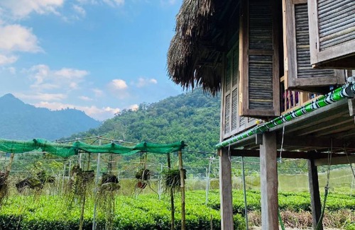 Dai Tu House | 80 m² House ∙ 1 bedroom ∙ 2 guests