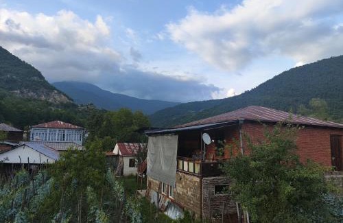 Tsageri Apartment | 9 Plus - Orbeli