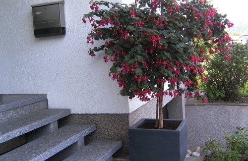 Losheim am See Apartment | 90 m² Apartment ∙ 2 bedrooms ∙ 4 guests