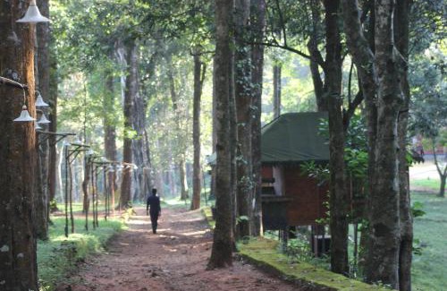 Lakkidi Resort | 900 Woods Wayanad Eco Resort - A Sprawling Jungle Stay near Glass Bridge