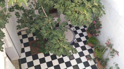 Medina of Rabat Ski Chalet | 95 m² Chalet ∙ 1 bedroom ∙ 4 guests