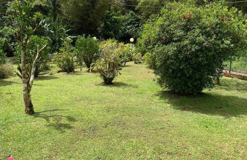 Le Morne-Rouge House | 972B-Coin de verdure au pied de la Montagne Pelée