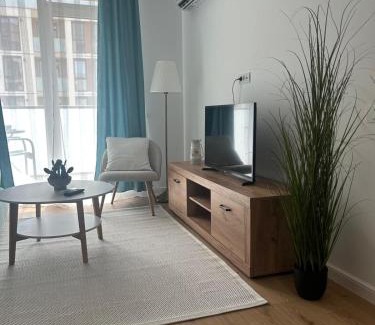 Timisoara Apartment | A&A Appartment 2