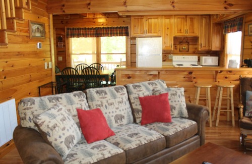 Murphy Cabin | A Beautiful Cabin on a Nice Wide Creek! FREE WiFi/ROKU TV