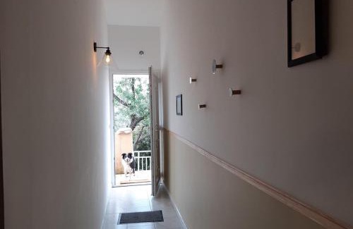 Serra-di-Ferro Apartment | A CASA DI PAULINA