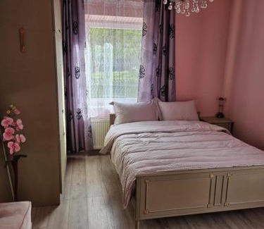 Joniskis Apartment | A cozy little house