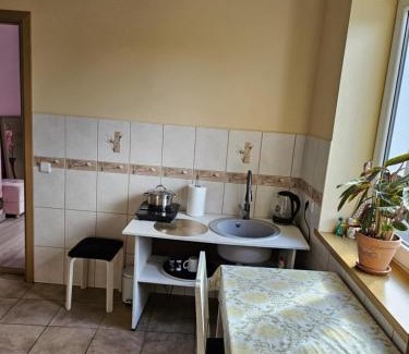 Joniskis Apartment | A cozy little house