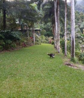 Diwan House | A Daintree Garden