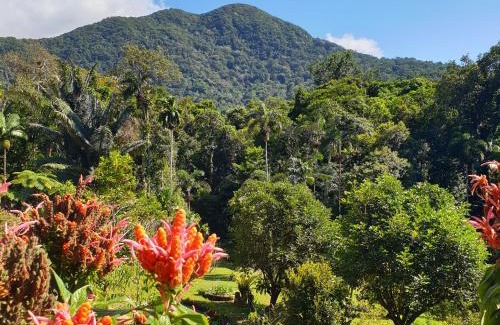 Diwan House | A Daintree Garden
