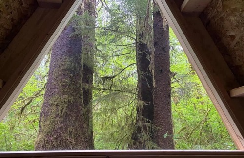 Forks Apartment | A-Frame #17 Shelter near Olympic National Park